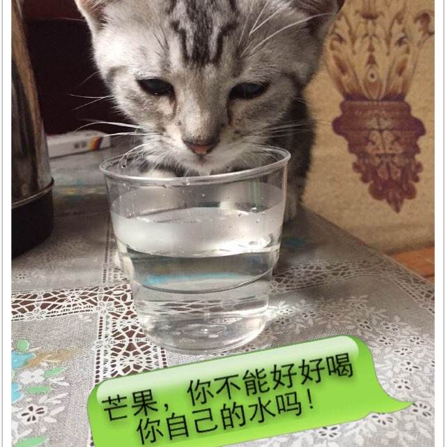 办理亚当斯州立学院文凭